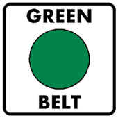 Six Sigma green belt